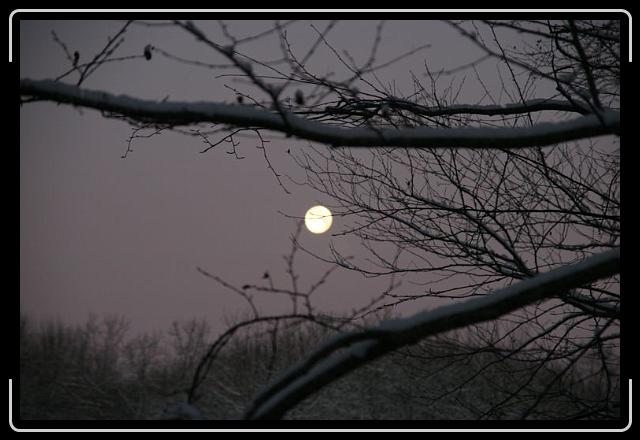 winter sun2.jpg - Same shot.. I can't decide which one I like better.